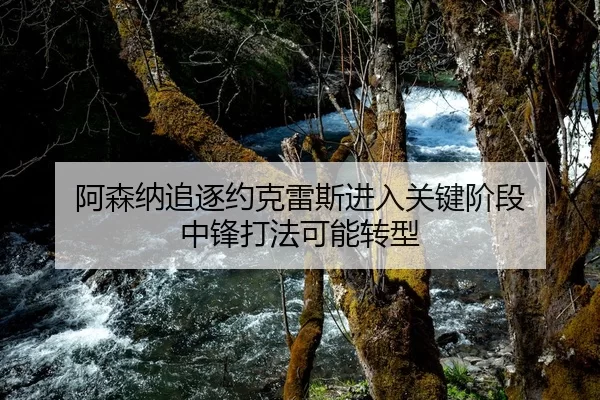 阿森纳追逐约克雷斯进入关键阶段 中锋打法可能转型