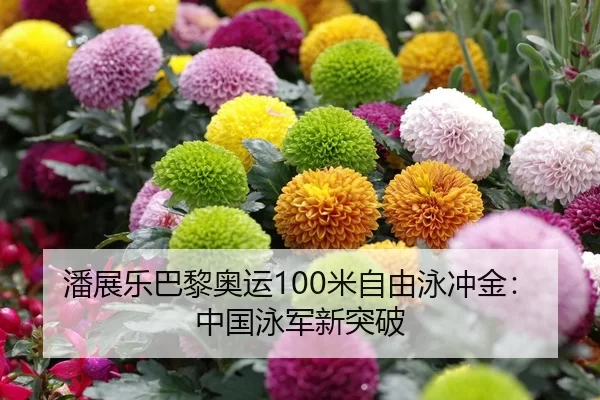 潘展乐巴黎奥运100米自由泳冲金：中国泳军新突破